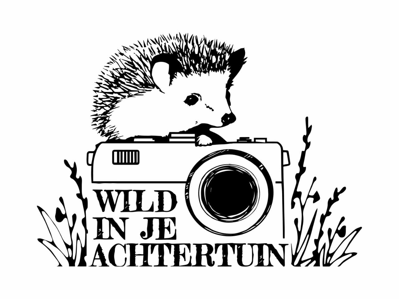 Project Wild In De Achtertuin Van Start Silvavir Ecologisch Advies